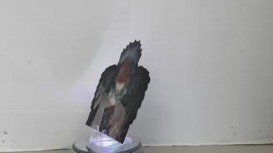 3D Sticker Death Note